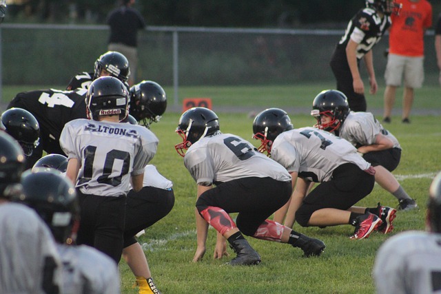 像巴西的里 像巴西的里