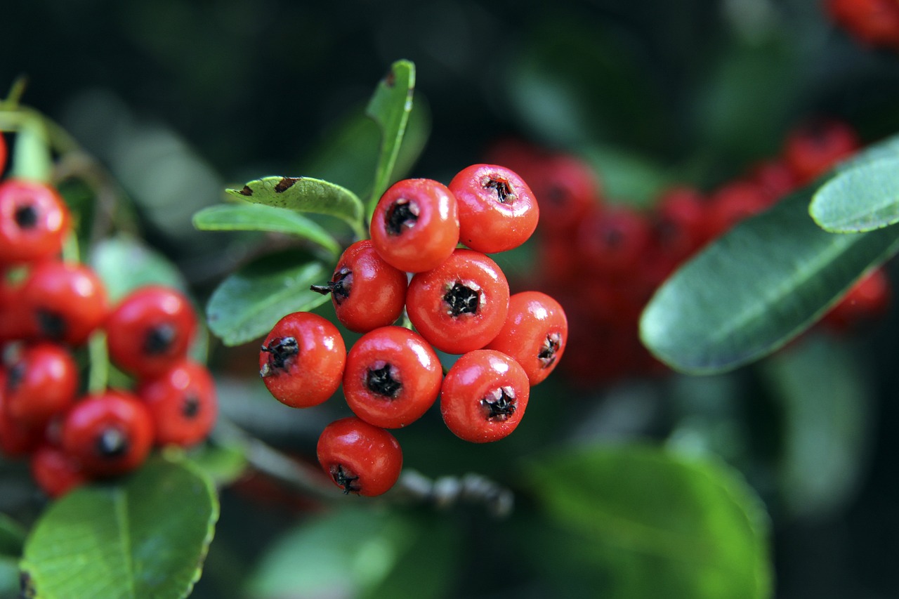 领域的领先 领域的领先