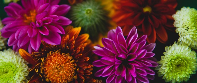 V5体育 中超联赛 武汉三镇 武汉足球 黑娃.