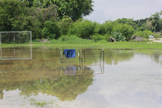 为区域内居 为区域内居