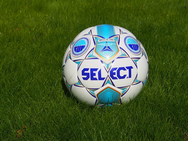 队在引进外 队在引进外