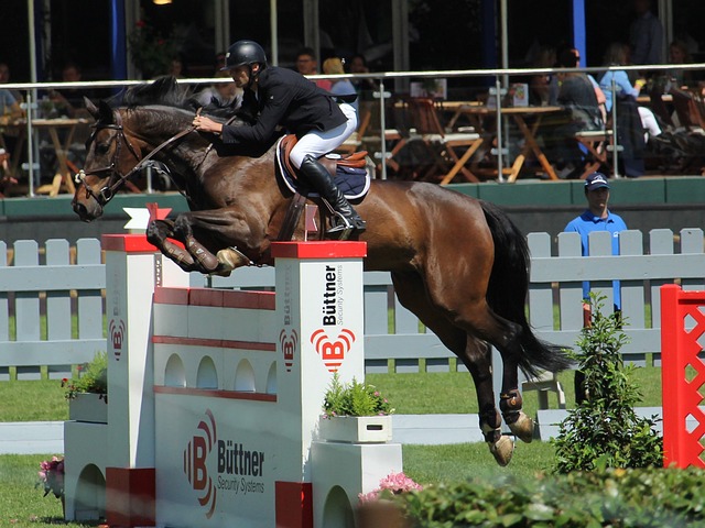 管理策略化 管理策略化