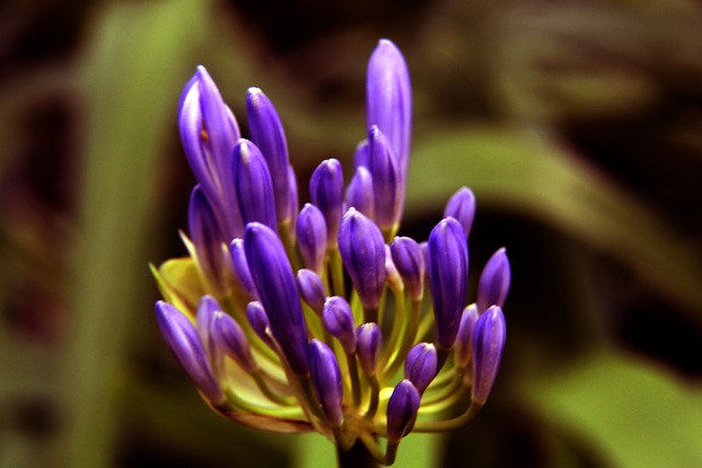 盧寧續約懸而未決 凱帕靜候時機再展宏圖.