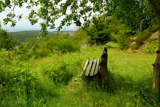 快船9场比赛6个生死局,2战独行侠或将决定附加赛区最后一个席位.